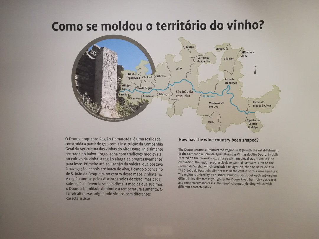Museu do Vinho景点图片