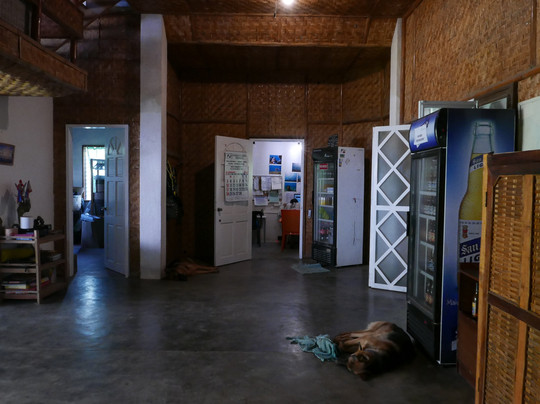 Bongo Bongo Divers主图