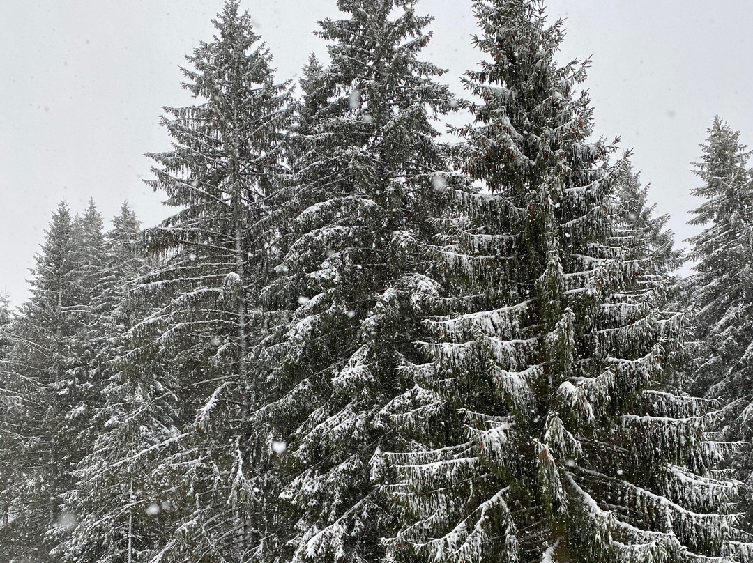 Gerardmer Ski-热拉尔德梅必去景点