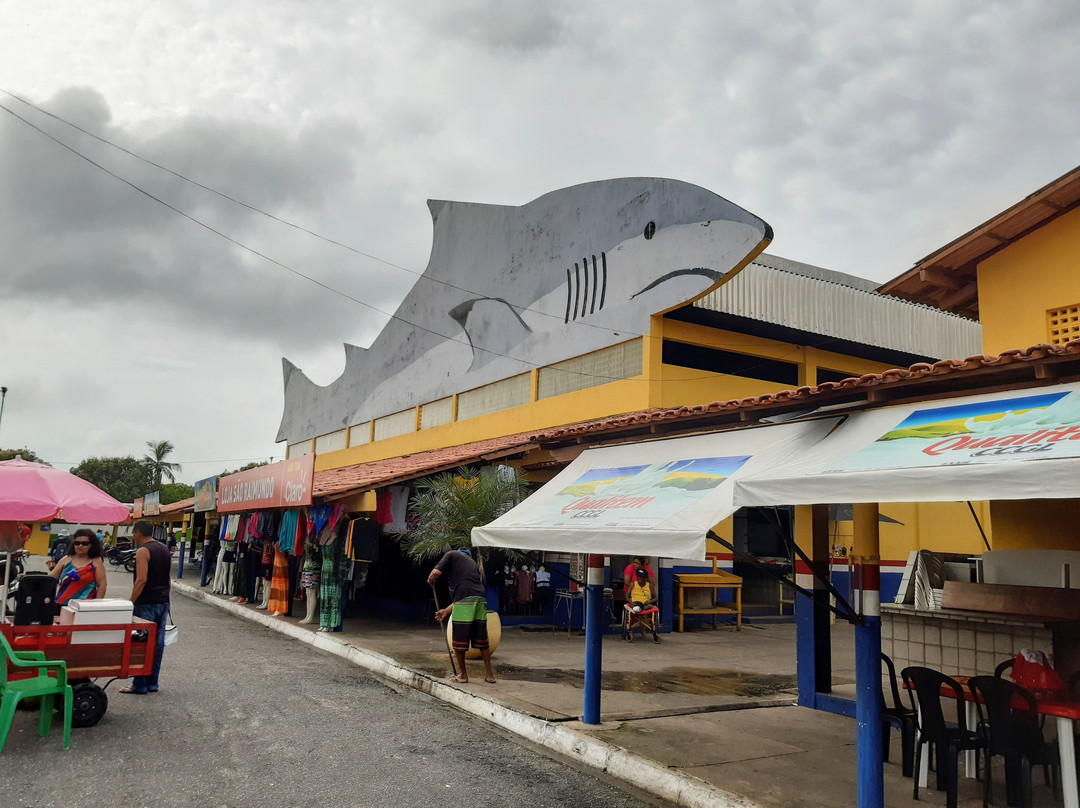 Mercado Municipal do Porto Grande景点图片