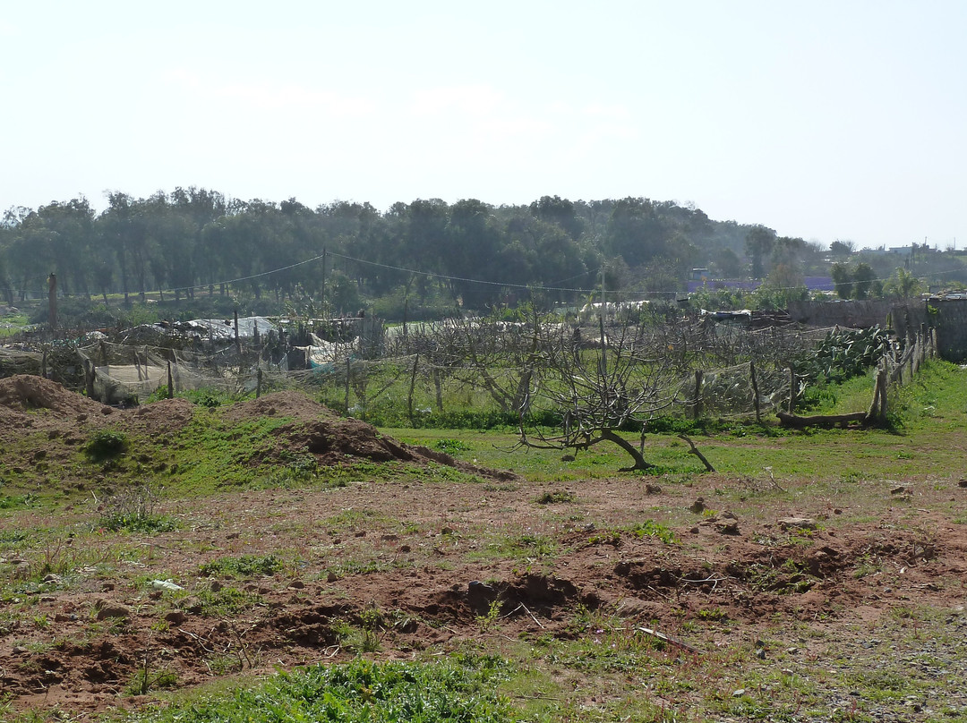 The Montgomerie Rabat Course-Bouknadel必去景点