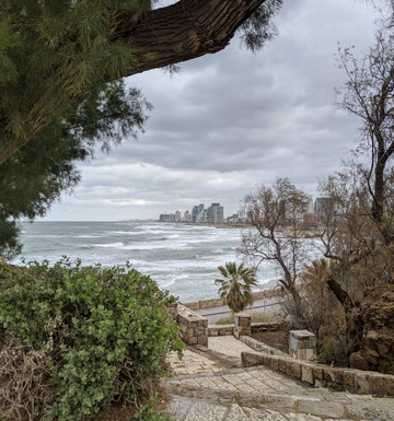 SANDEMANs NEW Europe - Tel Aviv-特拉维夫必去景点