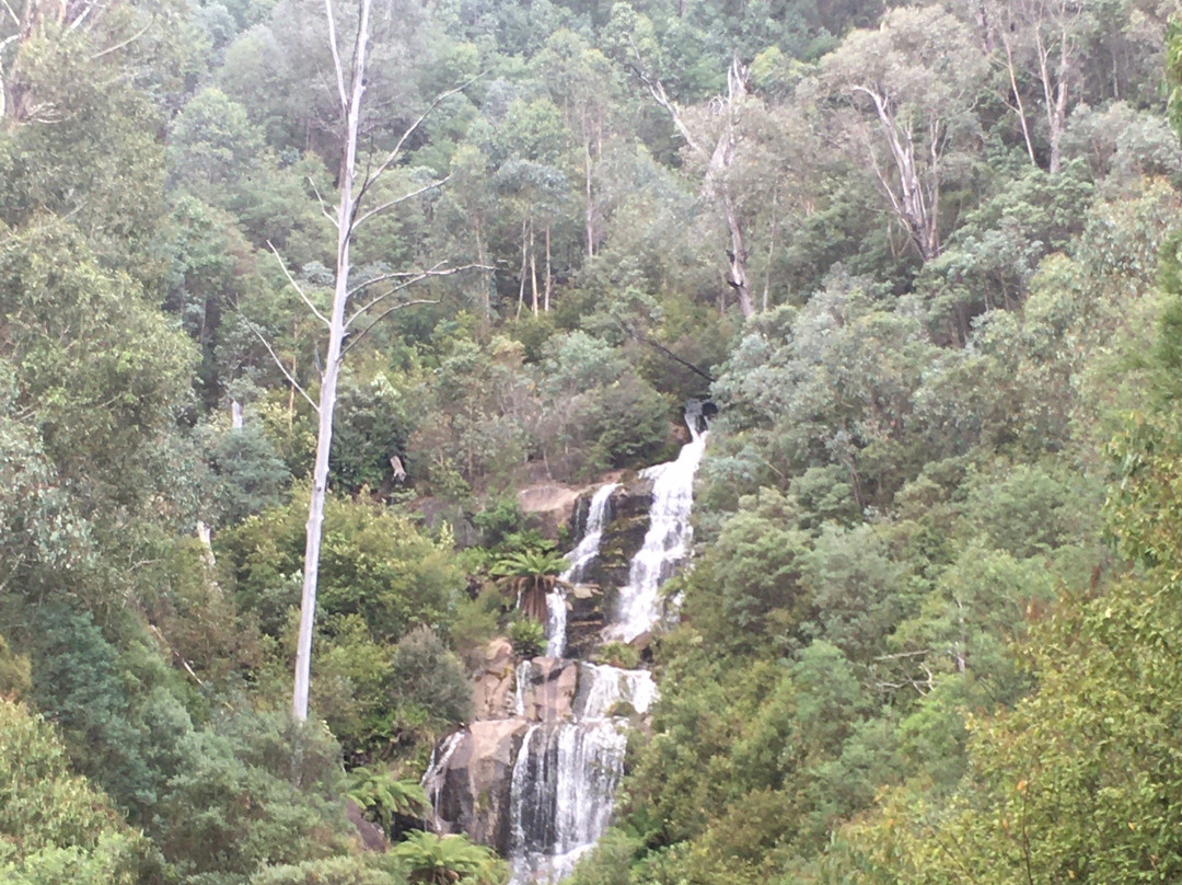 Fainter Falls-Mount Beauty必去景点