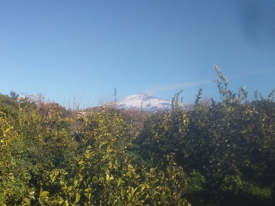Agriturismo Orange Park主图