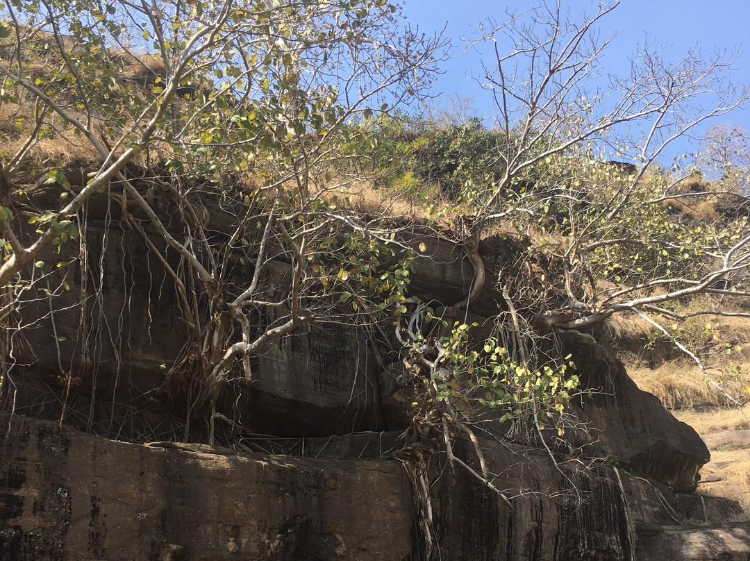 Udaygiri Caves-Sanchi必去景点