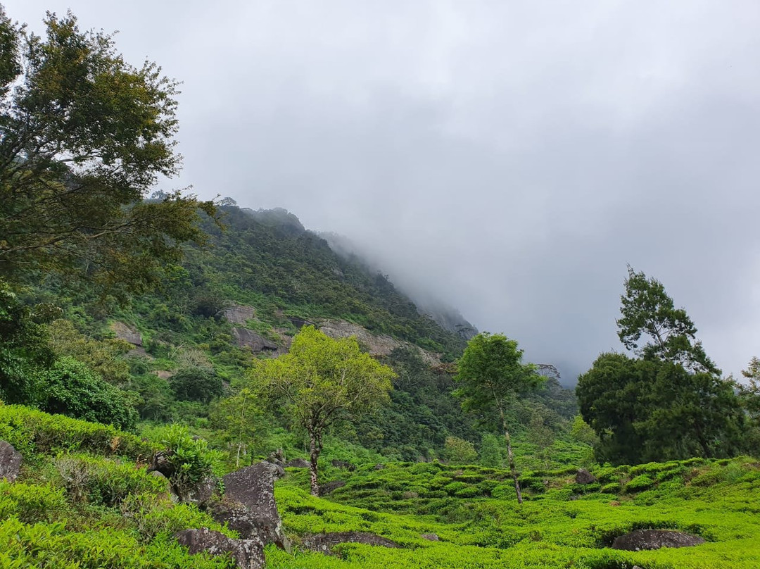 Mandaram Eco Resort主图