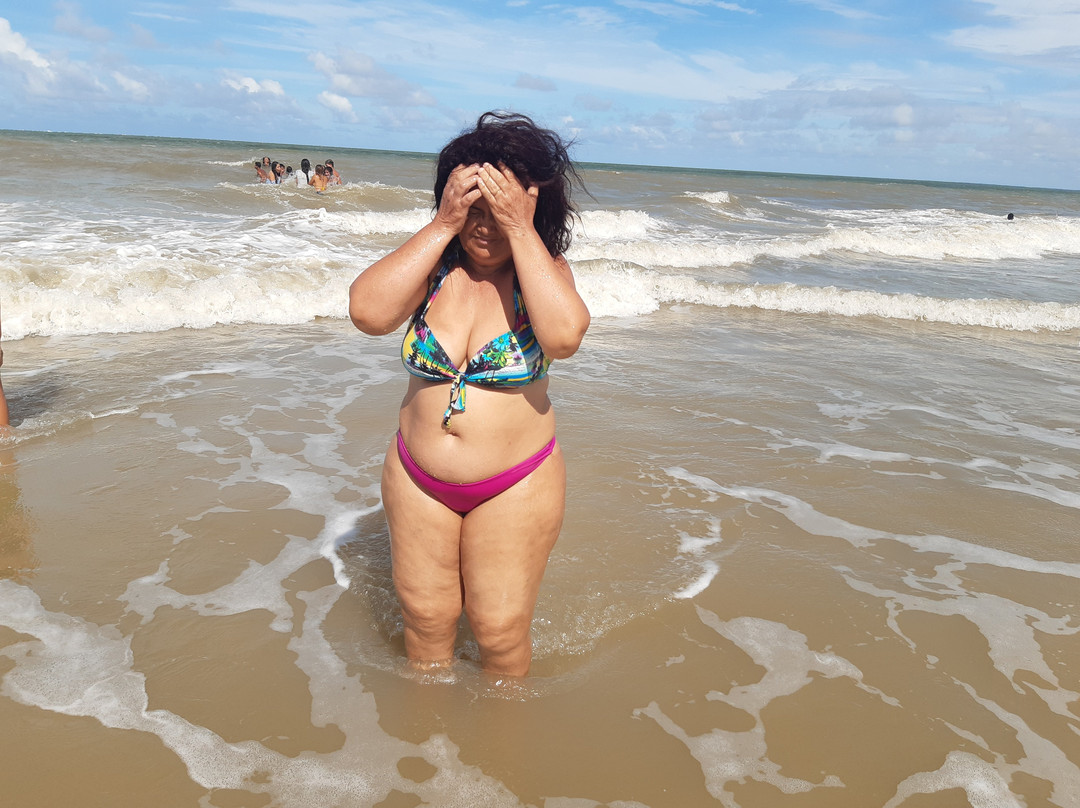 Ajuruteua Beach (Campo do Meio)-Braganca必去景点