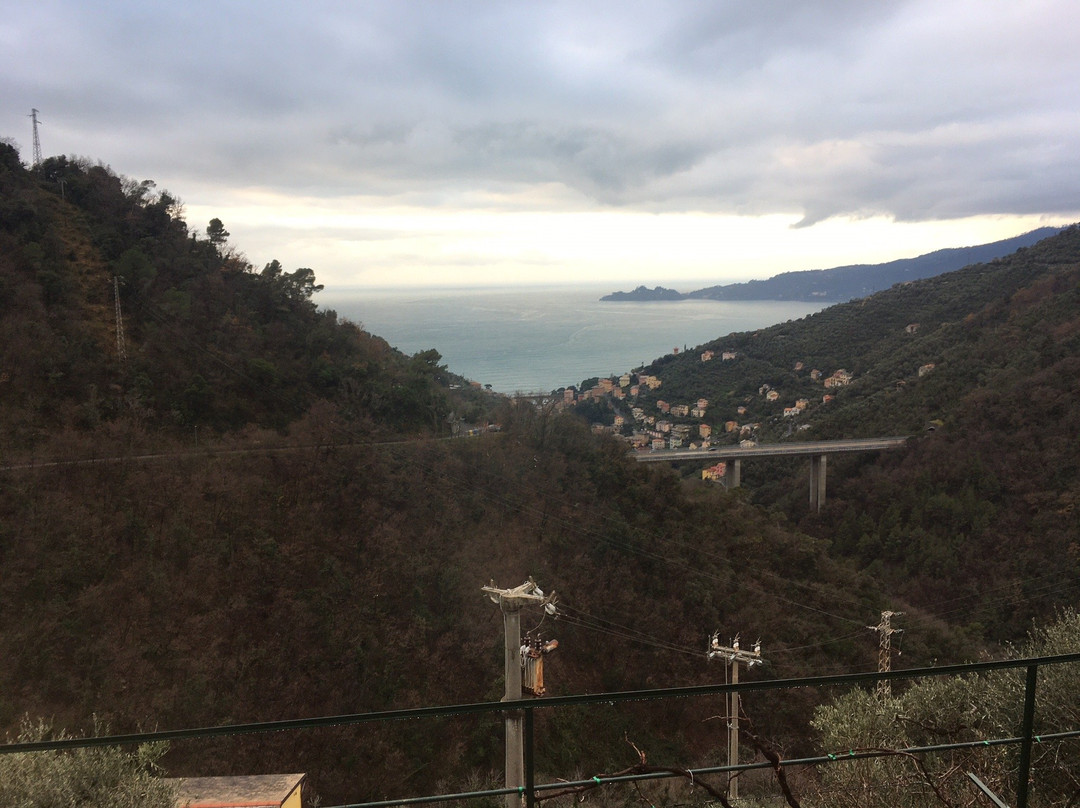 Agriturismo Cerisola 2003主图