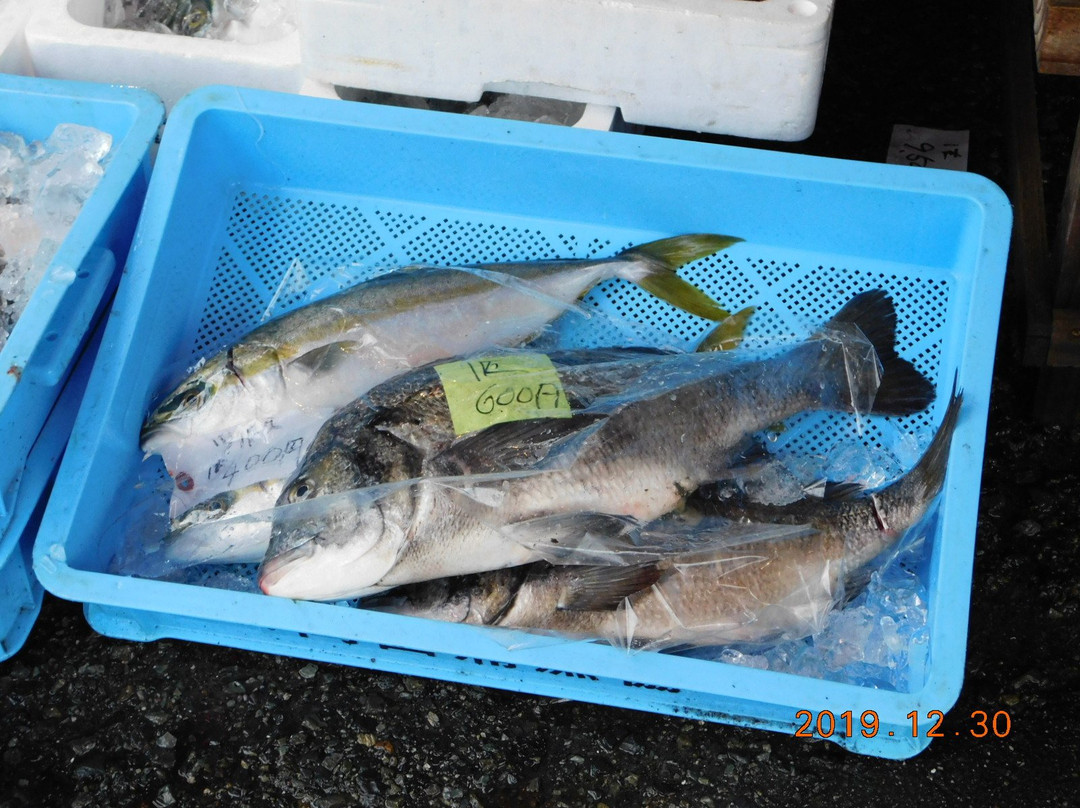 Okadaura Fishing Port景点图片