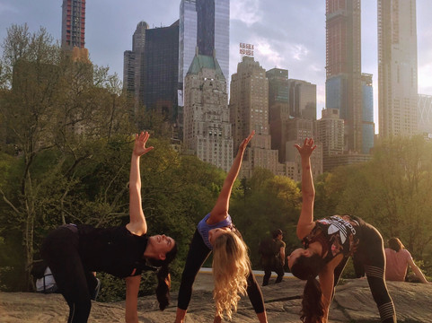 Fit Tours NYC-纽约市必去景点