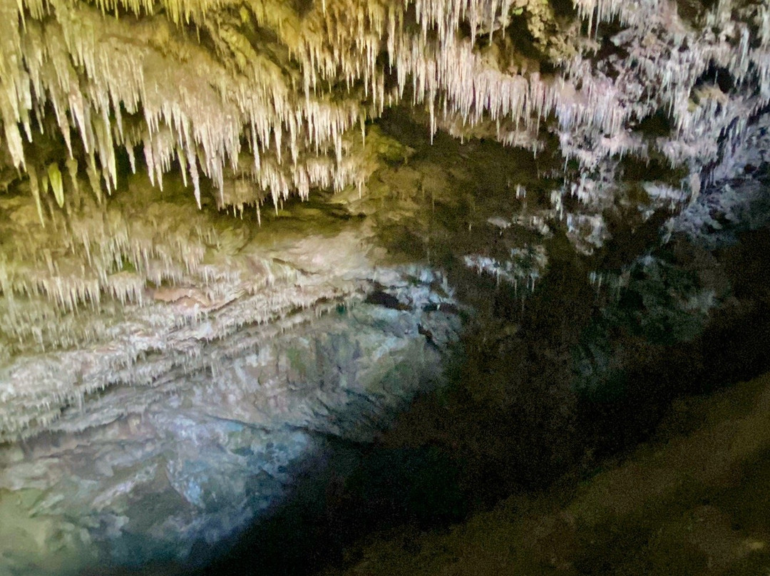 Rawhiti Cave Track景点图片