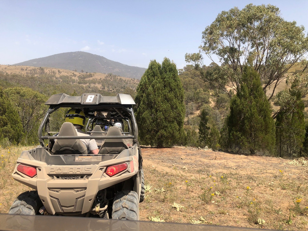Aussie Buggy Adventures景点图片
