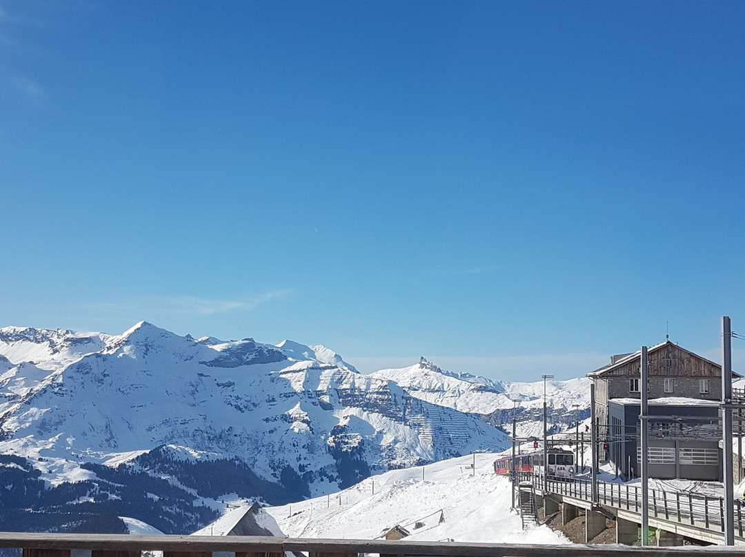 Eigergletscher旅游攻略图片