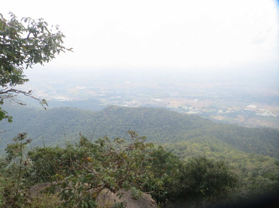 Parvathamalai Hills景点图片