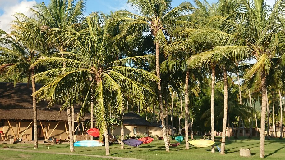 Whales & Waves Beach Resort主图