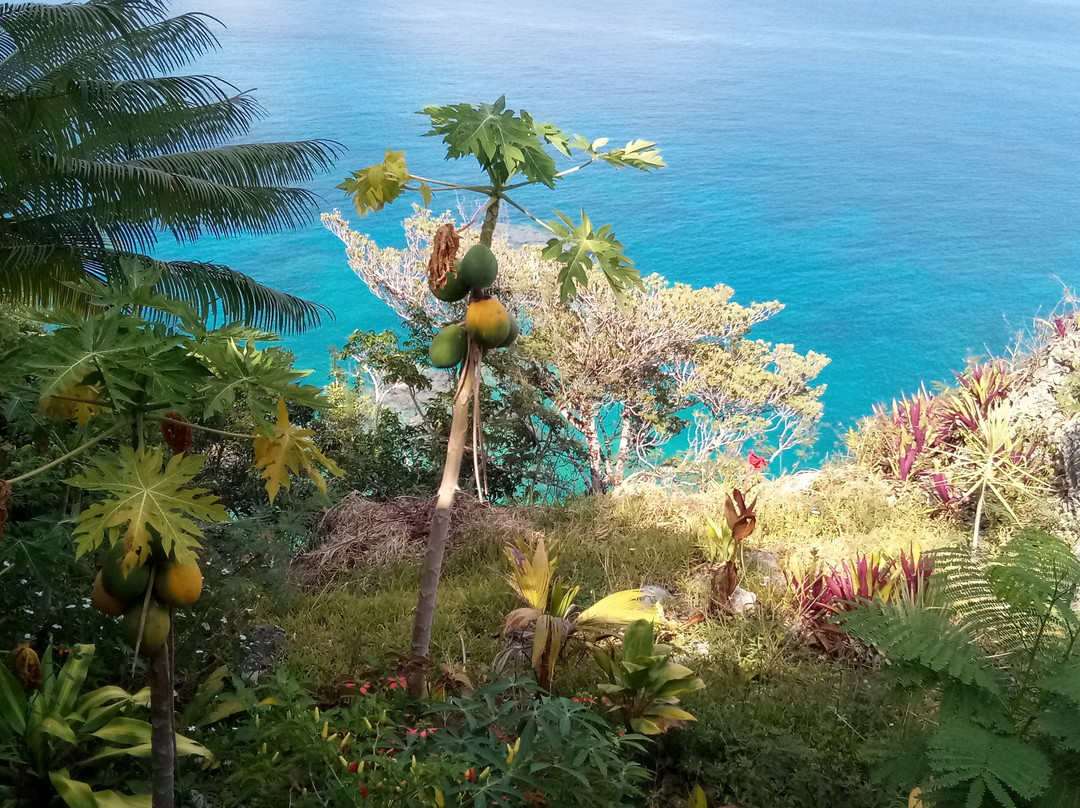 Gite Fare Falaise主图