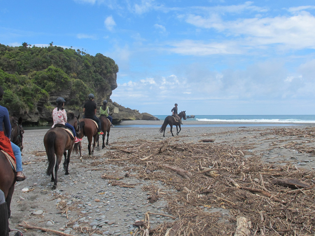 Punakaiki Horse Treks景点图片