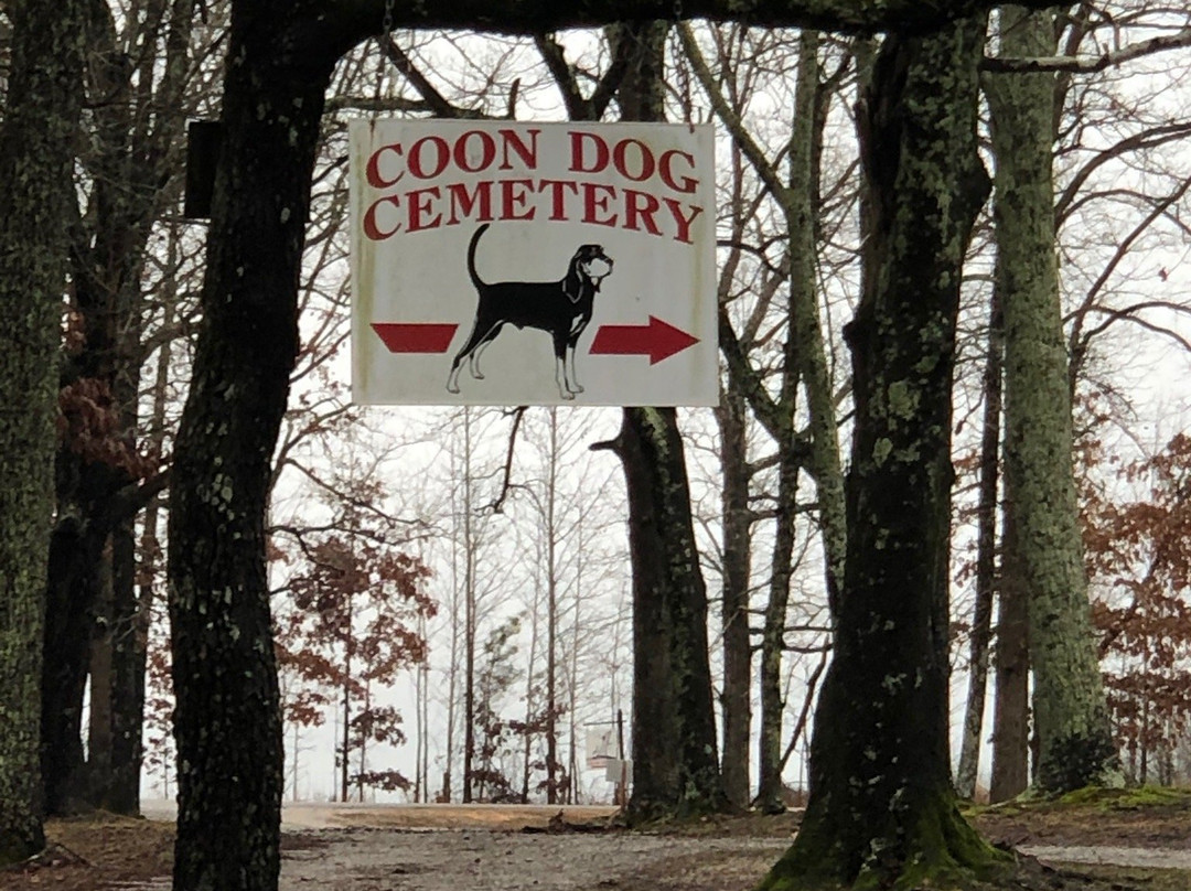 Key Underwood Coon Dog Memorial Graveyard景点图片