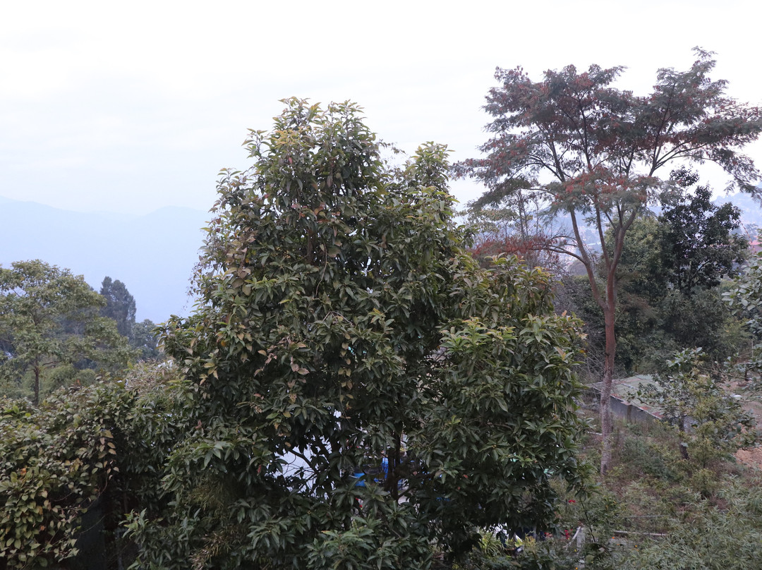 Summit Barsana Resort & Spa主图