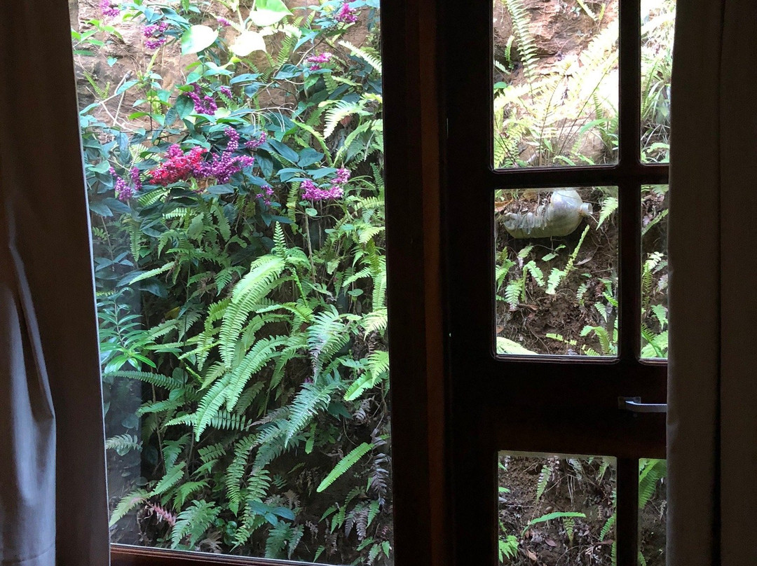 Cafe Brasil Pousada主图