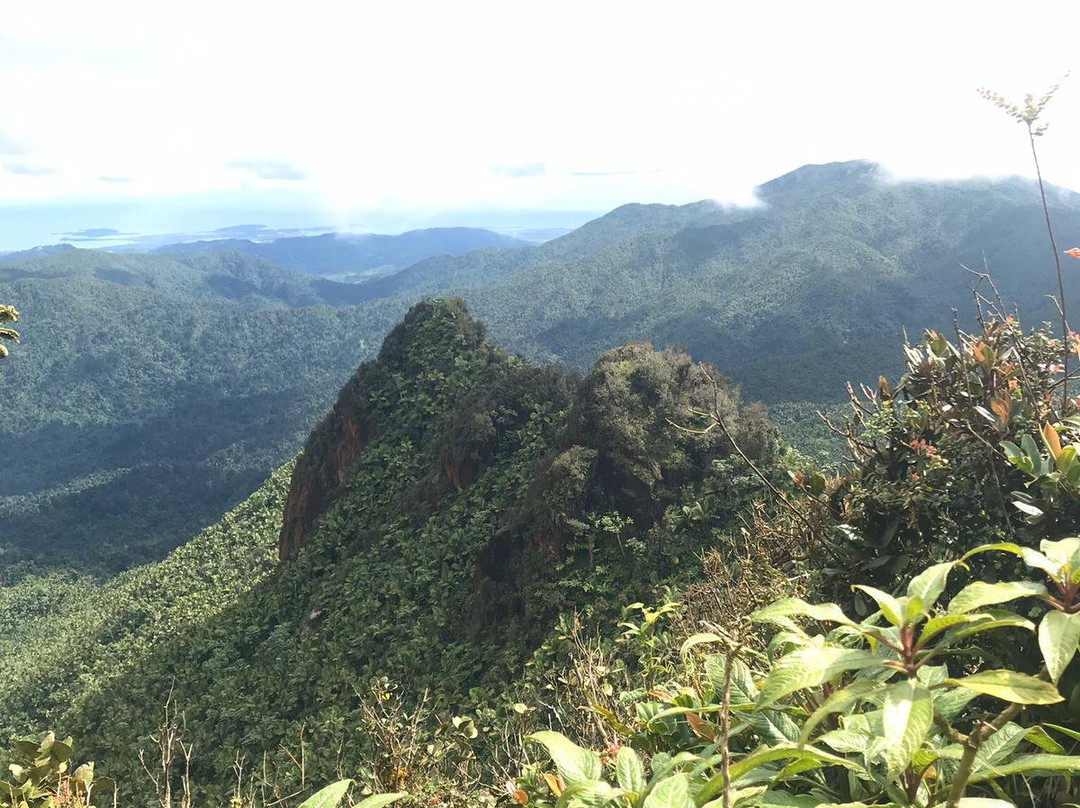 Mount Britton Trail-云盖国家森林公园必去景点