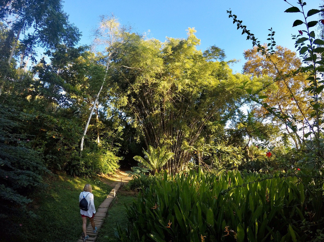 Drake Trail-德雷克湾必去景点