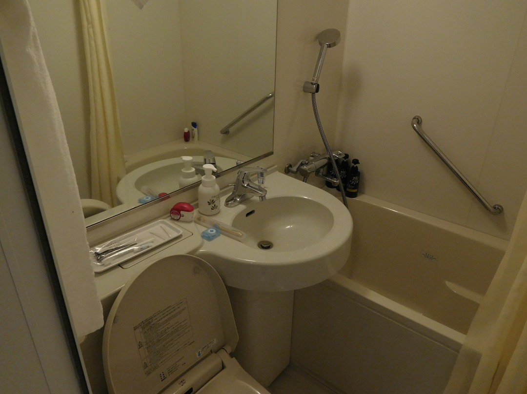 Sotetsu Fresa Inn Tokyo Kinshicho主图