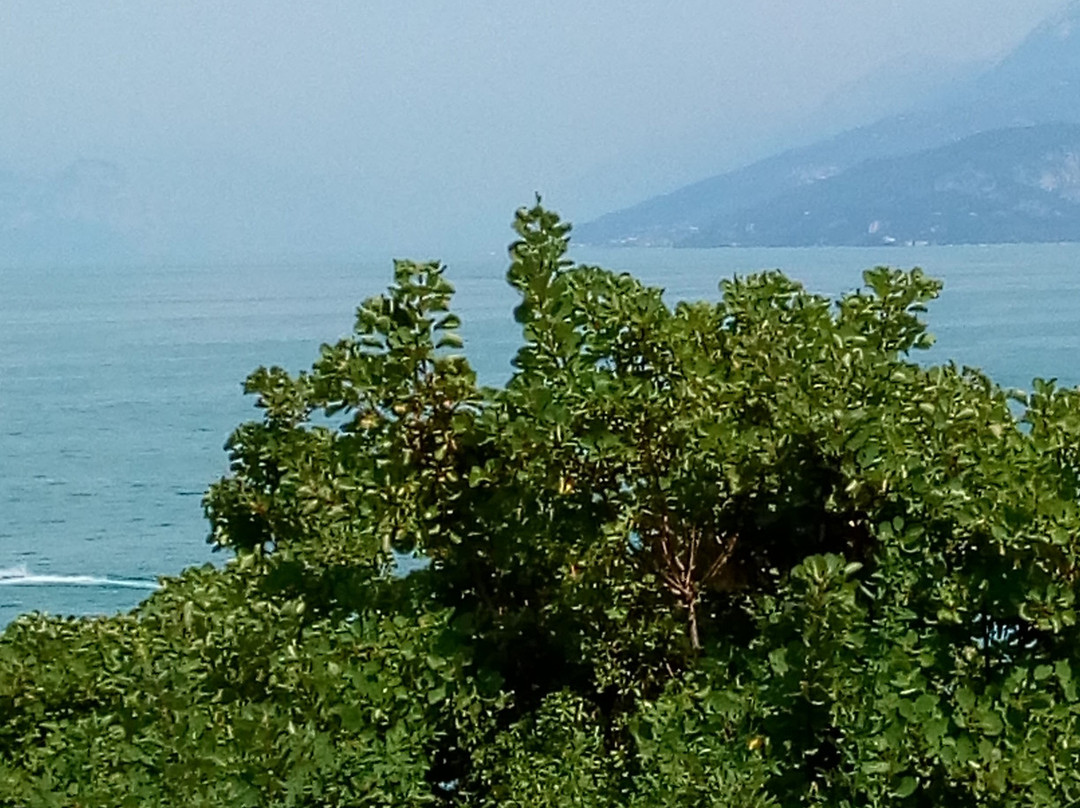 Castello-ricetto di San Felice del Benaco景点图片
