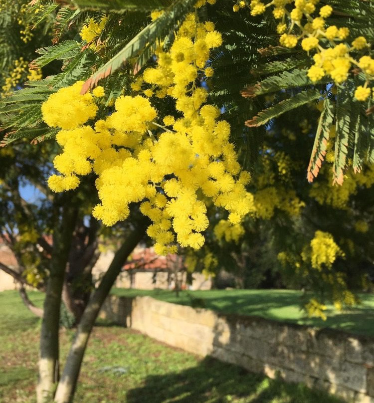 Chateau Beaulieu De Cleo主图
