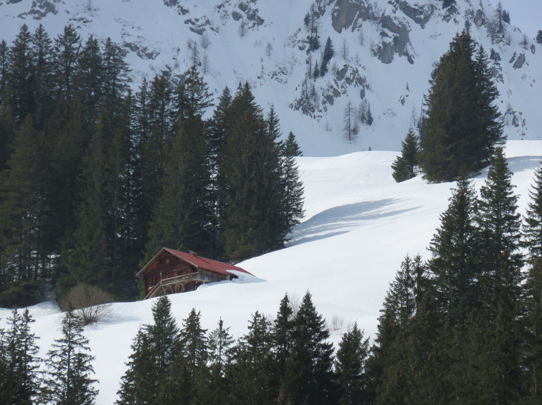 Lake Lauenen - Geltenhütte SAC - Lauenensee景点图片