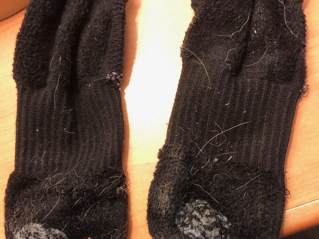 Quality Inn & Suites at Coos Bay主图