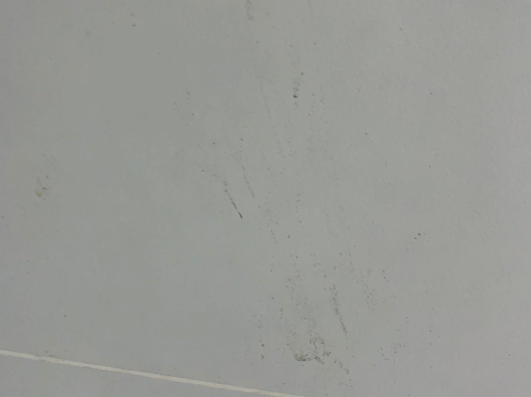 Robinland Vacation Home Badian主图