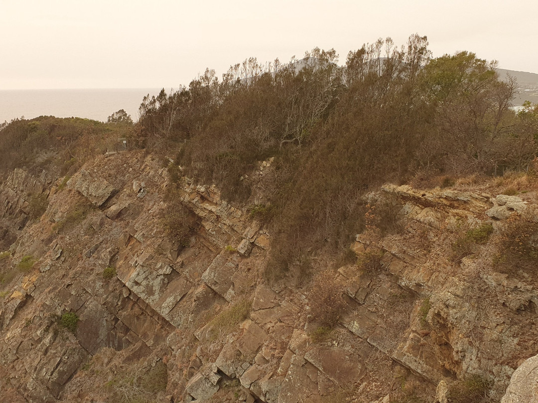 Bennetts Head Lookout景点图片