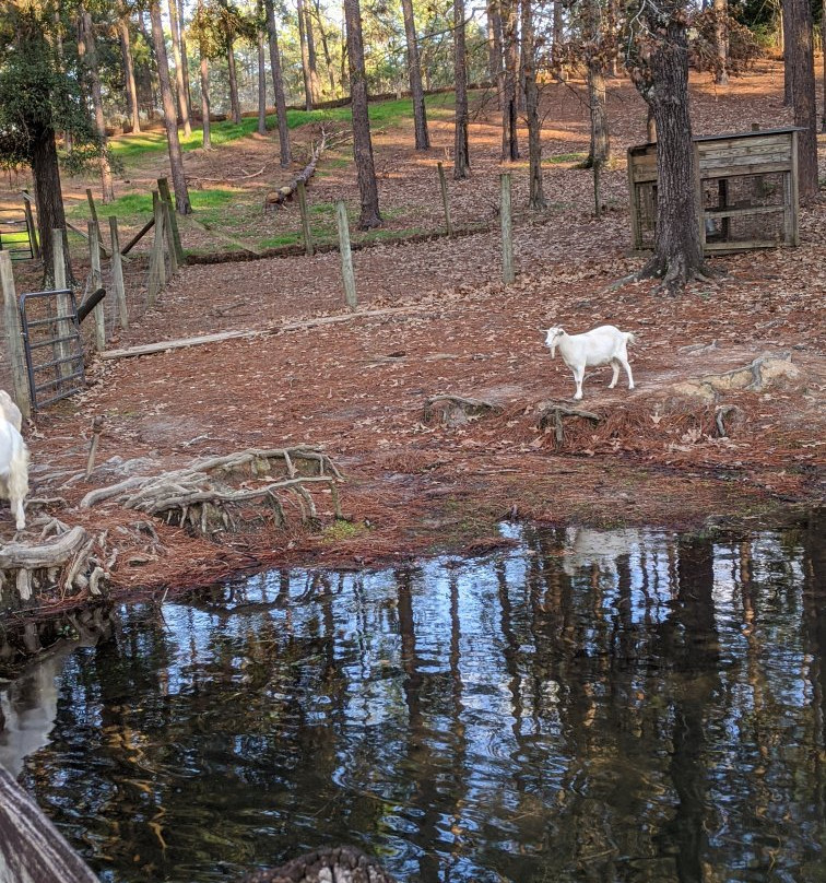 General Coffee State Park-Nicholls必去景点
