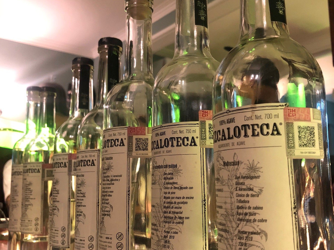 Mezcaloteca-瓦哈卡必去景点