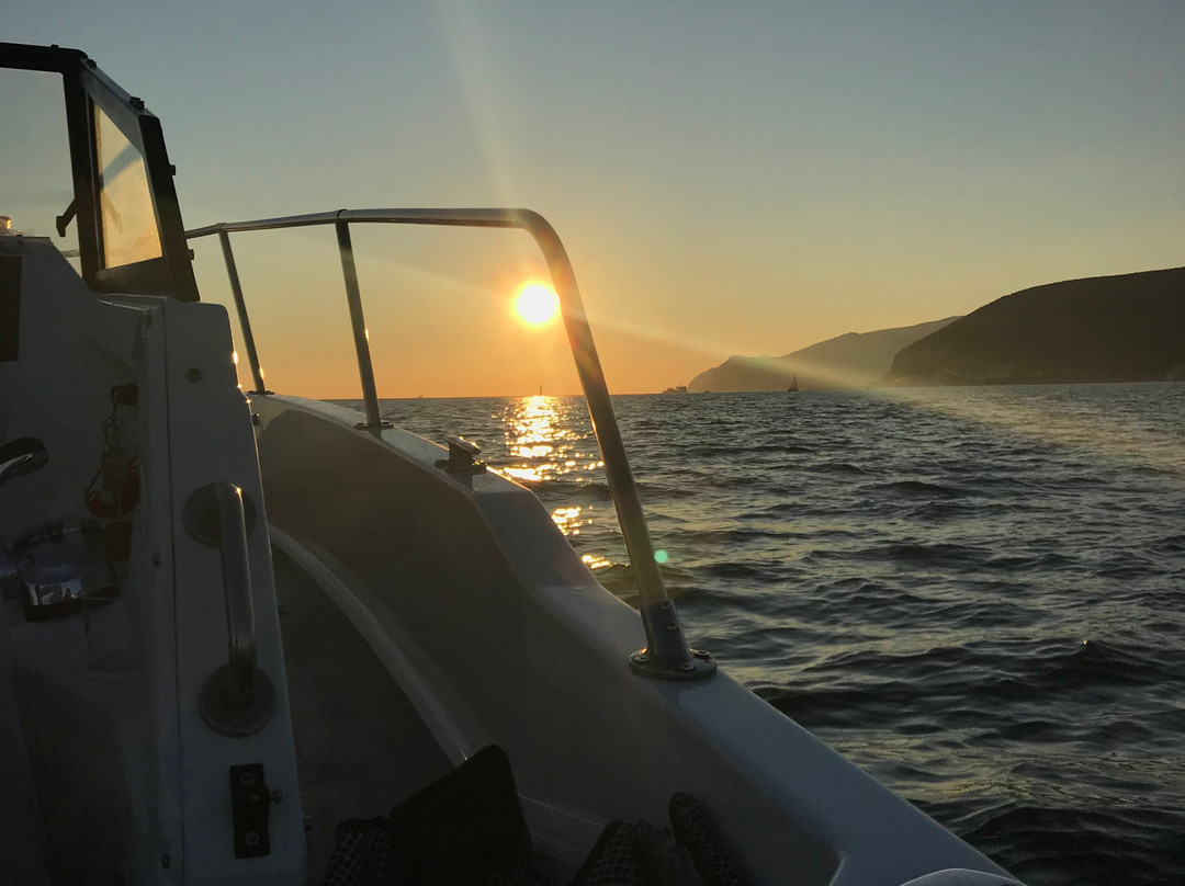 Boat Koncept景点图片