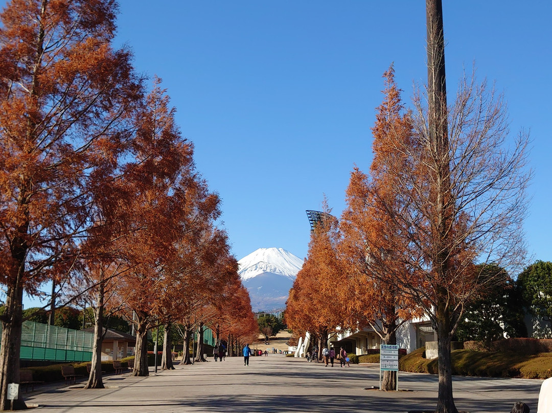 Susono-city Undo Park景点图片