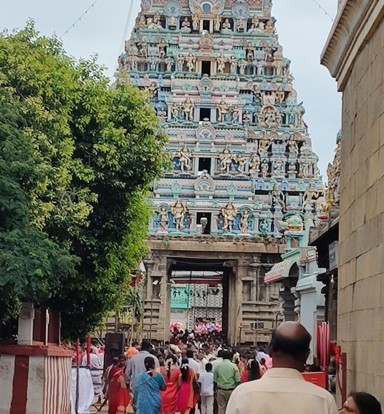 Thyagaraja Temple景点图片
