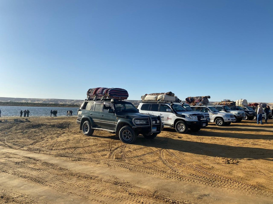 Saharina-开罗必去景点