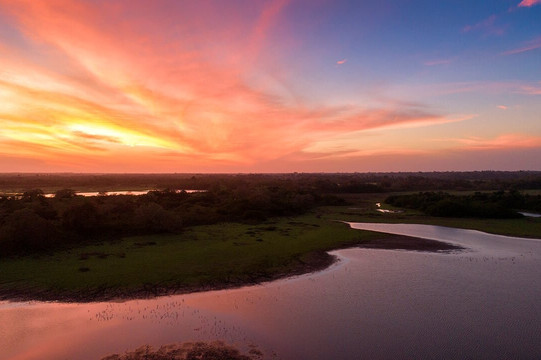 Natural Lodge Cano Negro