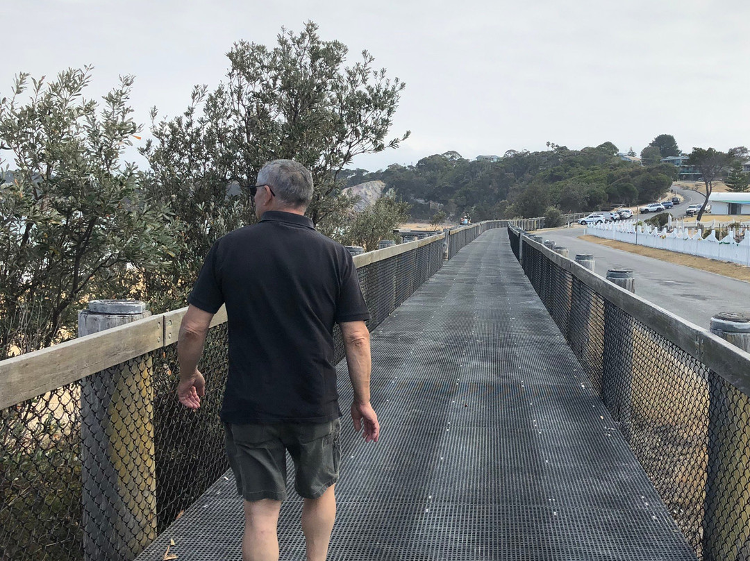 Aslings Beach Boardwalk-伊登港必去景点