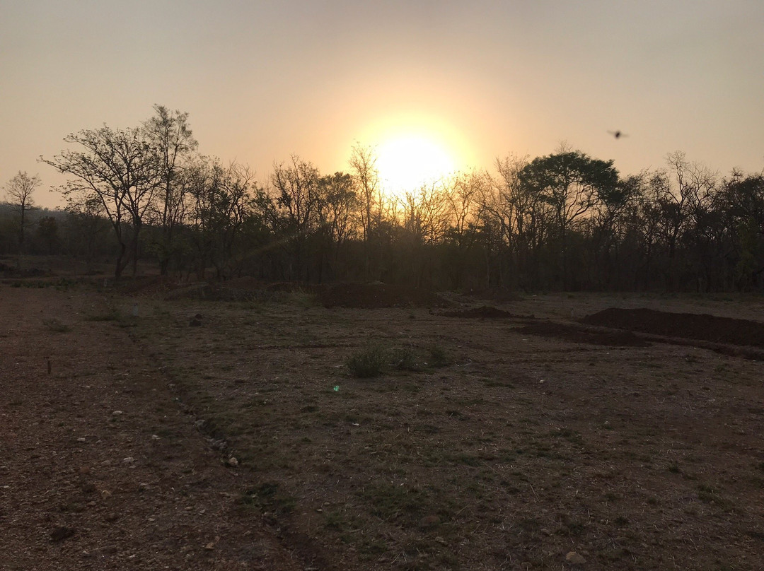 Alis Arcadia Resort主图