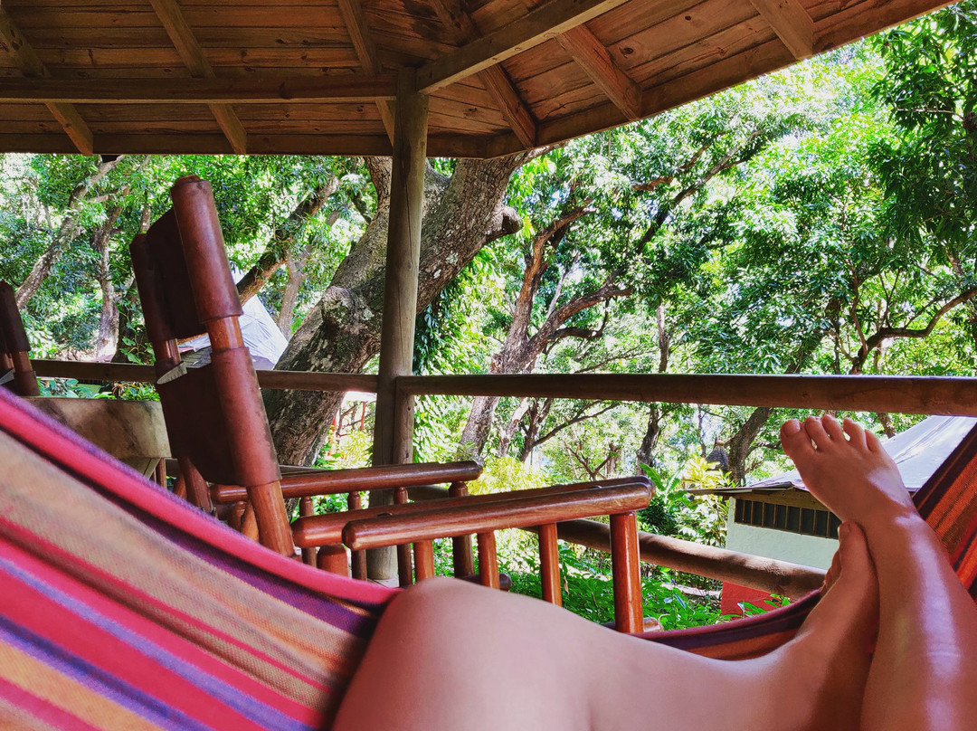 Hotel Los Mangos主图