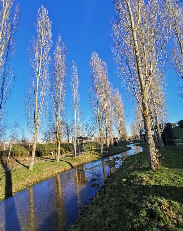 Parque Urbano do Rio Diz景点图片