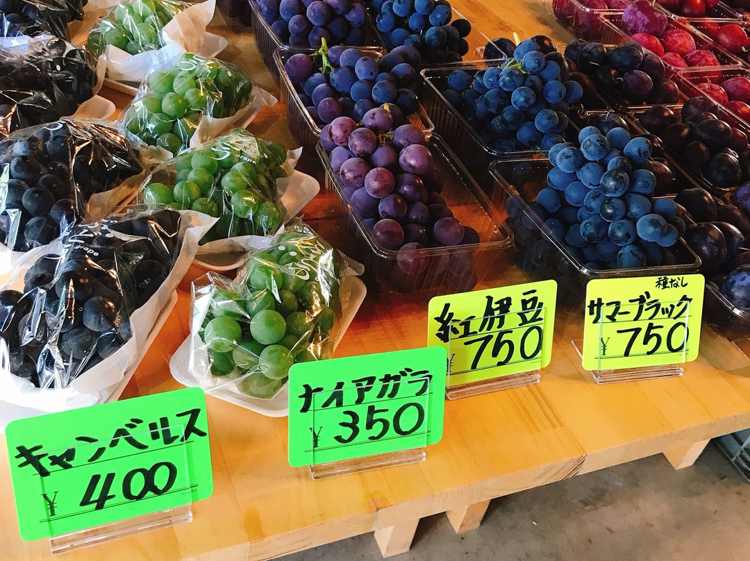 Nitori Kanko Fruits Farm-余市町必去景点