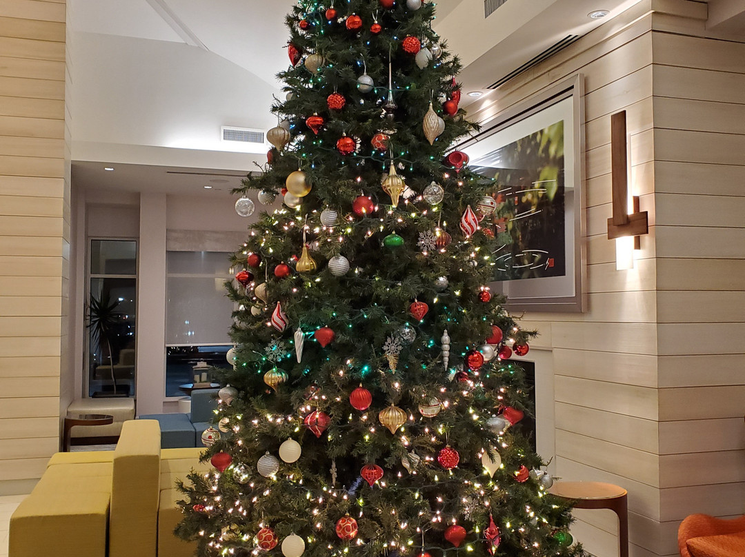 Hilton Garden Inn Houston/clear Lake Nasa主图