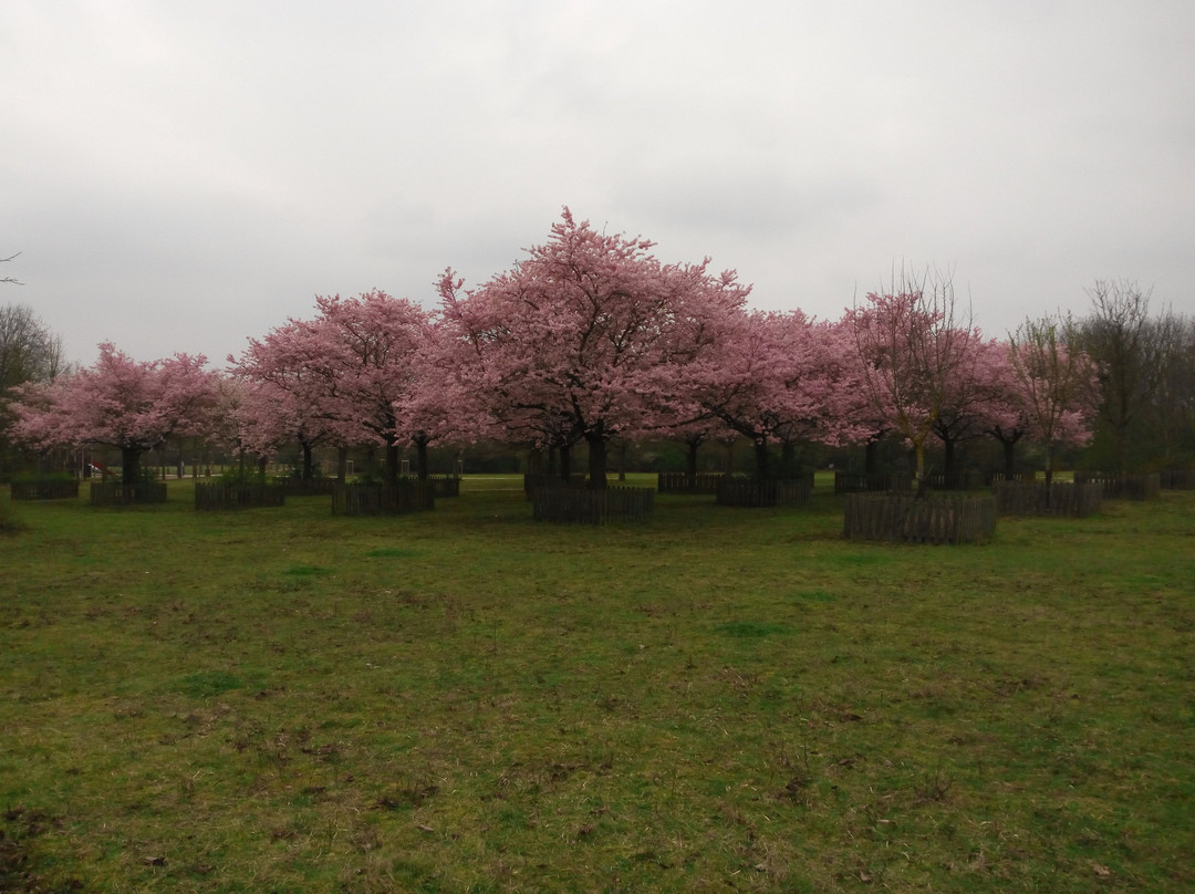 Parc du Sausset-Aulnay-sous-Bois必去景点