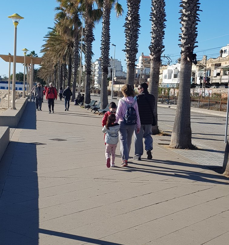 Platja del Cristall-巴达洛纳必去景点