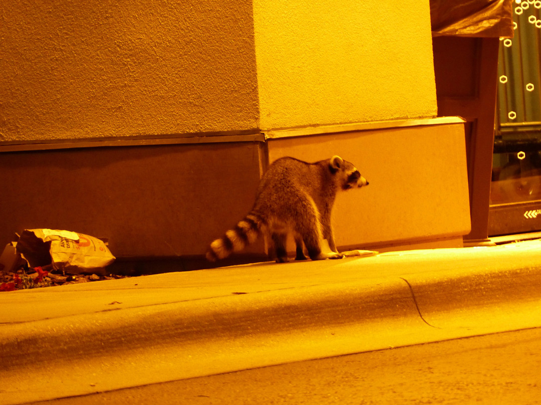 Hampton Inn & Suites Lake Mary at Colonial TownPark主图