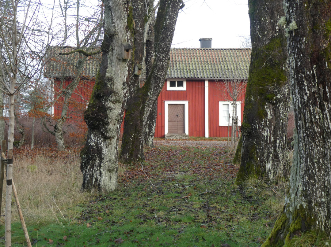 Snugge